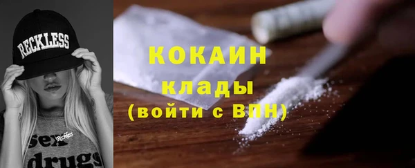 кокс Алексин