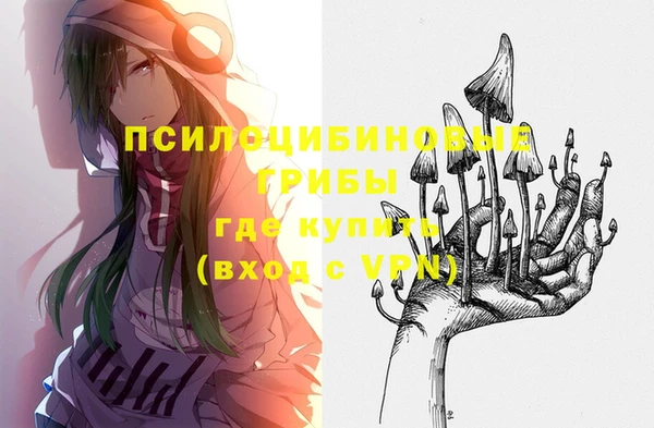 дурь Пролетарск