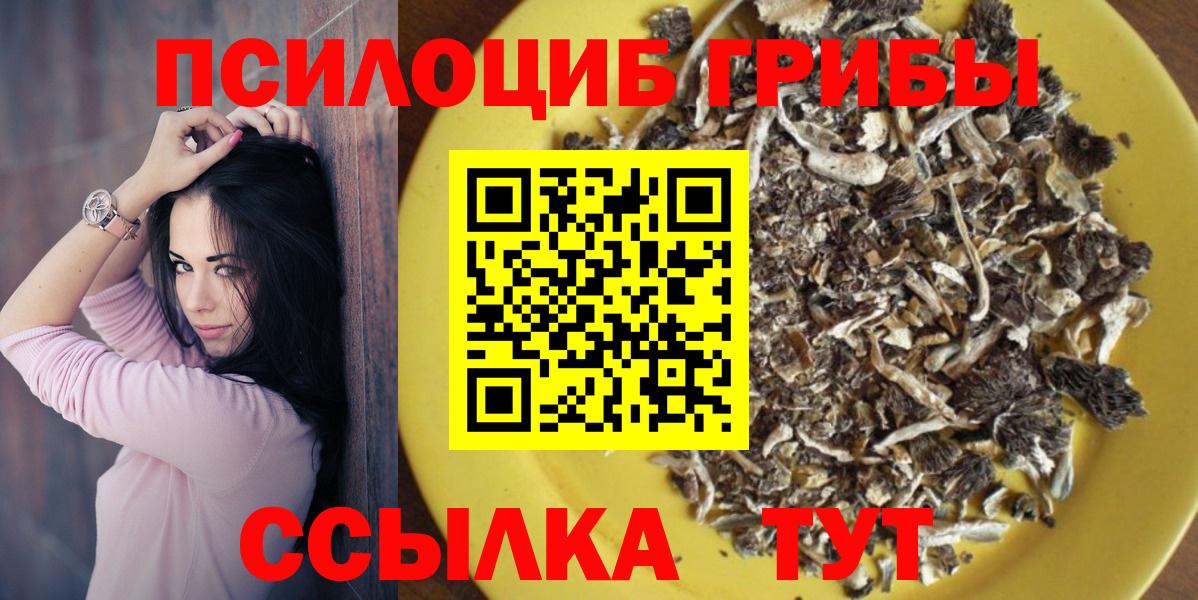 Псилоцибиновые грибы прущие грибы  Псилоцибиновые грибы Psilocybe  Муравленко  Вход с VPN 