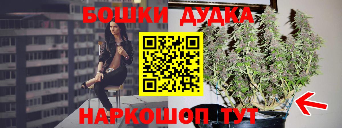 Бошки марихуана гибрид  Вход с VPN  Муравленко  Марихуана Bruce Banner  Марихуана Bruce Banner  Конопля конопля 